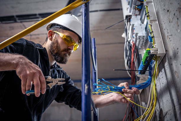 Best Electric Panel Repair  in Edina, MO